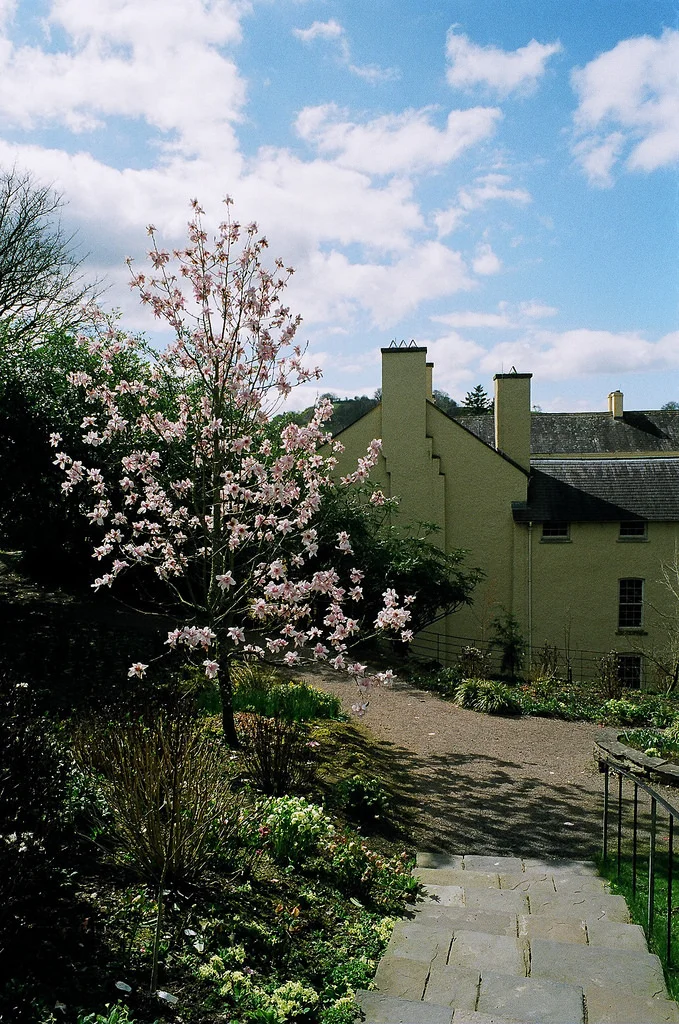 Aberglasney house and garden in wild west wales