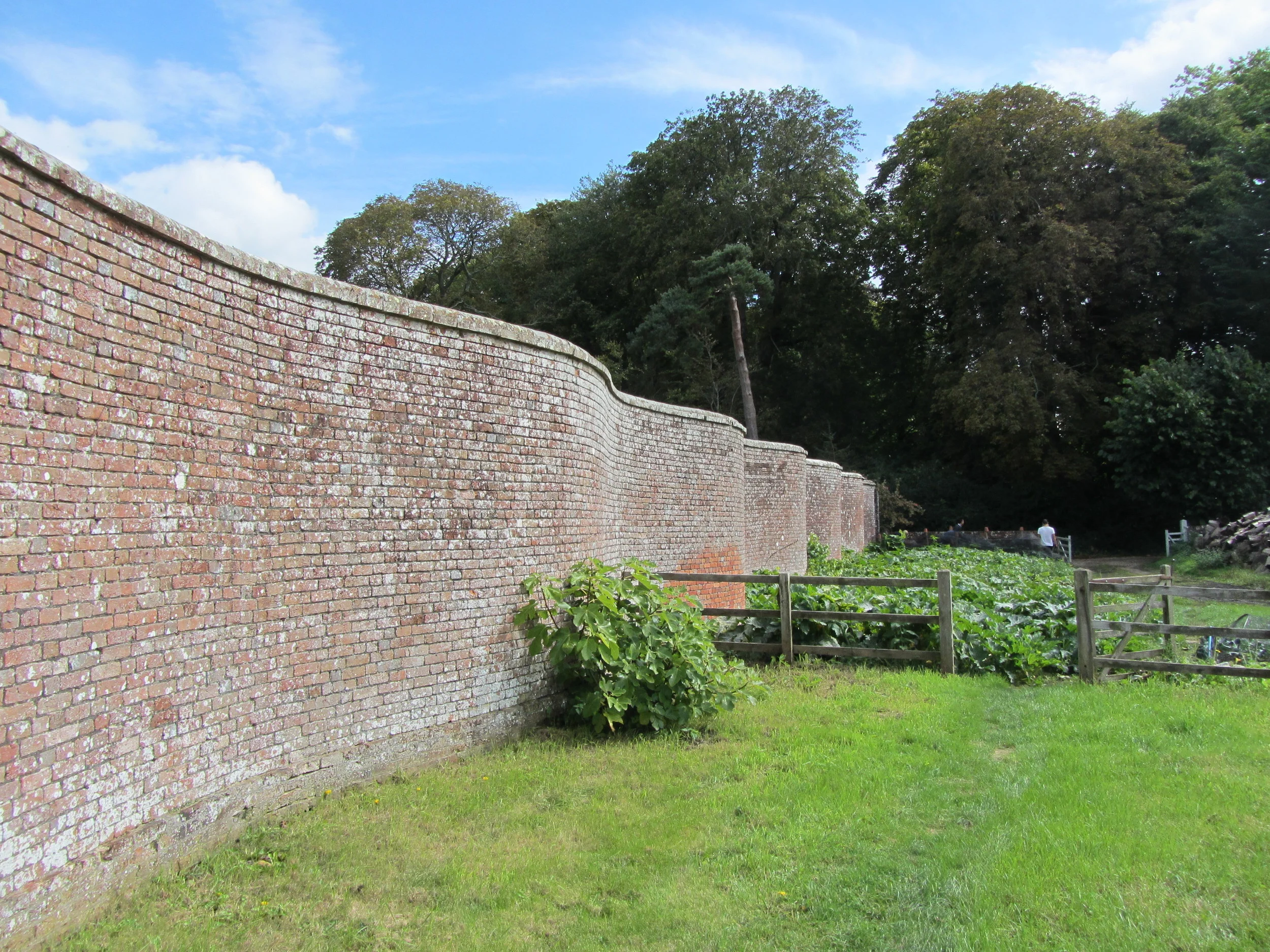 Serpentine Wall, Deans Court, Dorset
