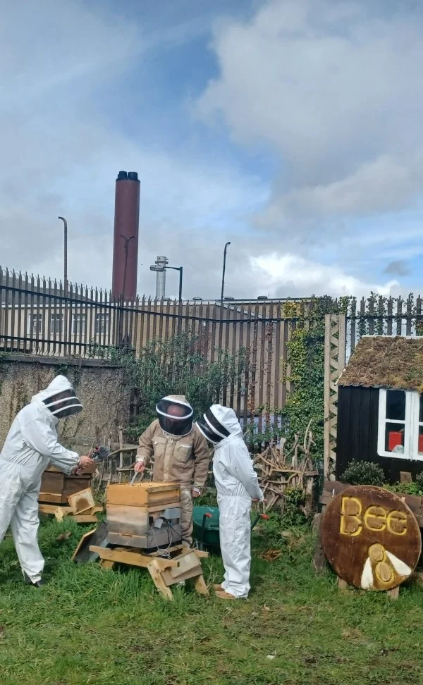 Beekeeping for Beginners 