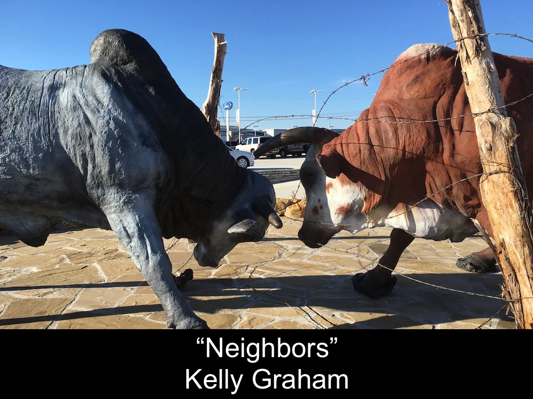 "Neighbors" by Kelly Graham