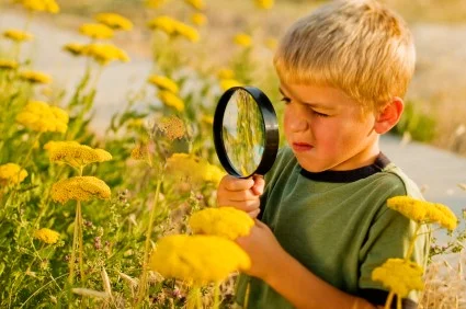 boywithbutterfly.jpg