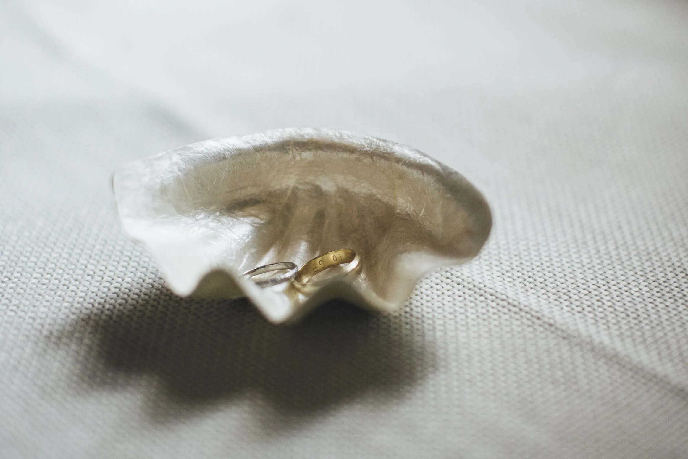 Lucy_Graylyn_064.RINGS in Shelljpg.jpg