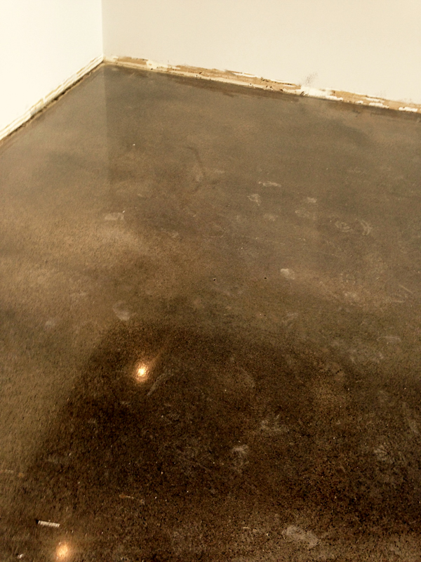 Our workout room will have the same type of flooring that we had in the old studio, but the new areas we've added will boast polished concrete.