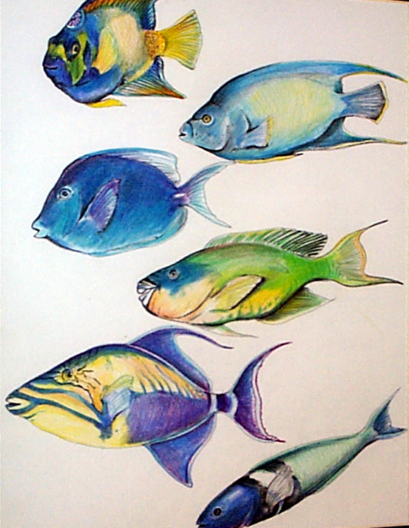 fish2-1.jpg