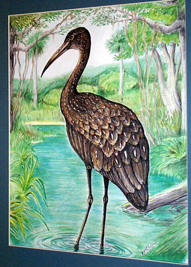 Stork123-4.jpg