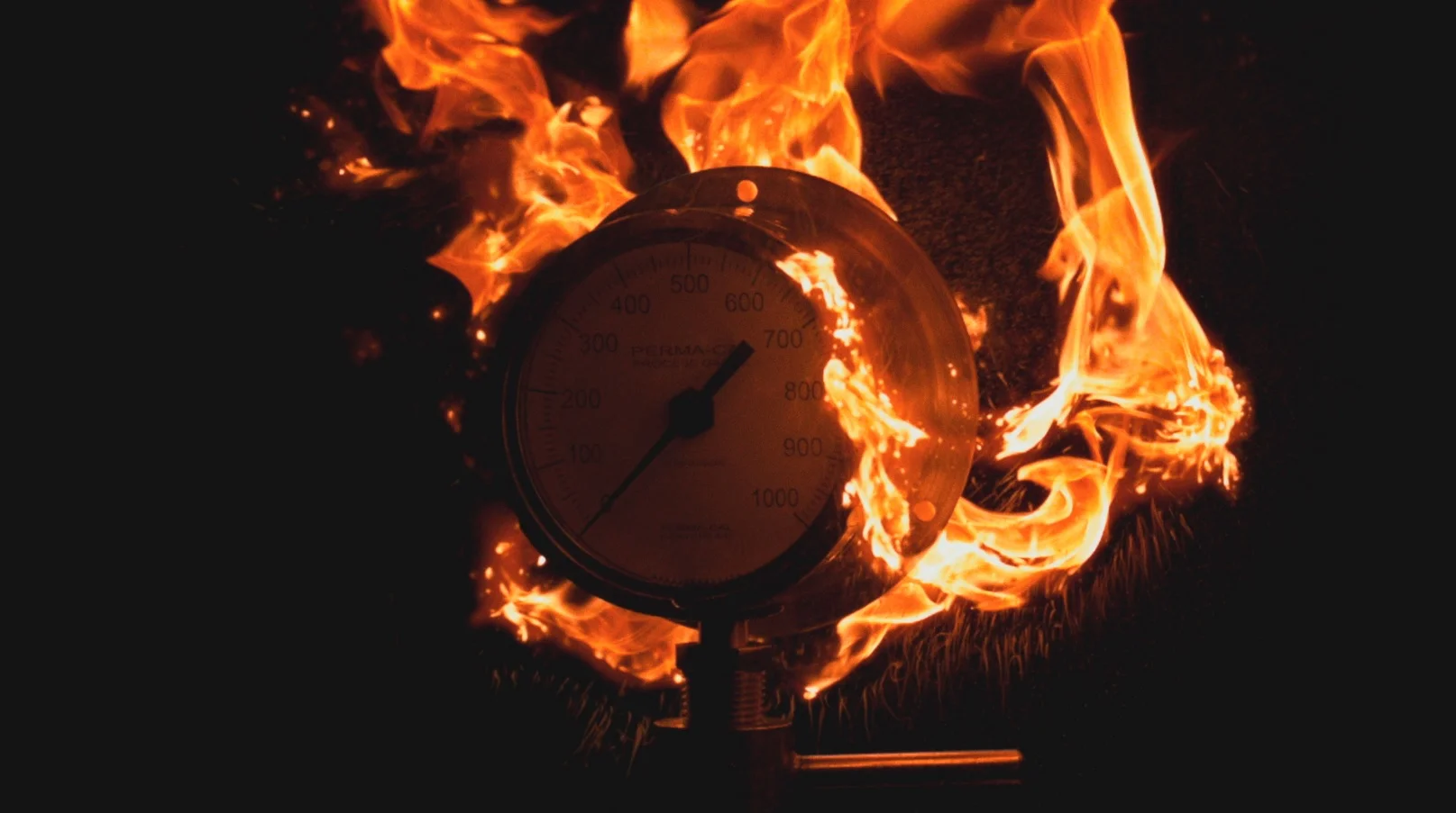 Feature - Heat.jpg