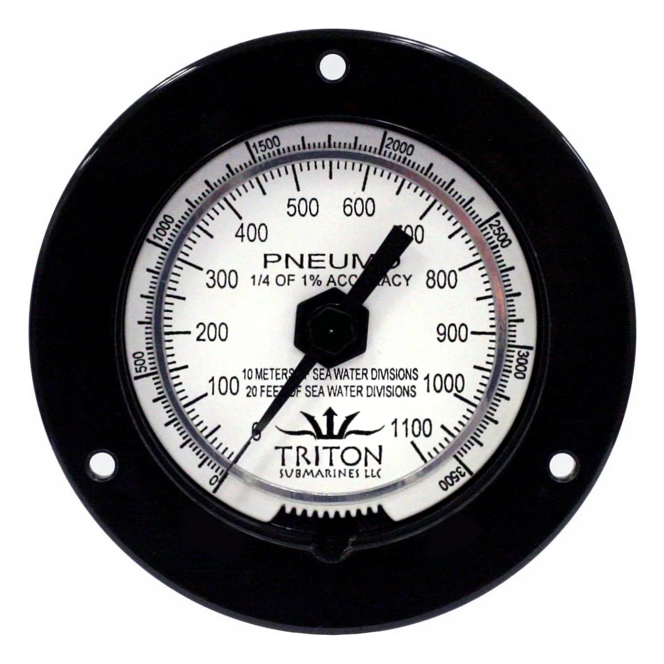 Feature - Custom Industrial Triton (front).jpg