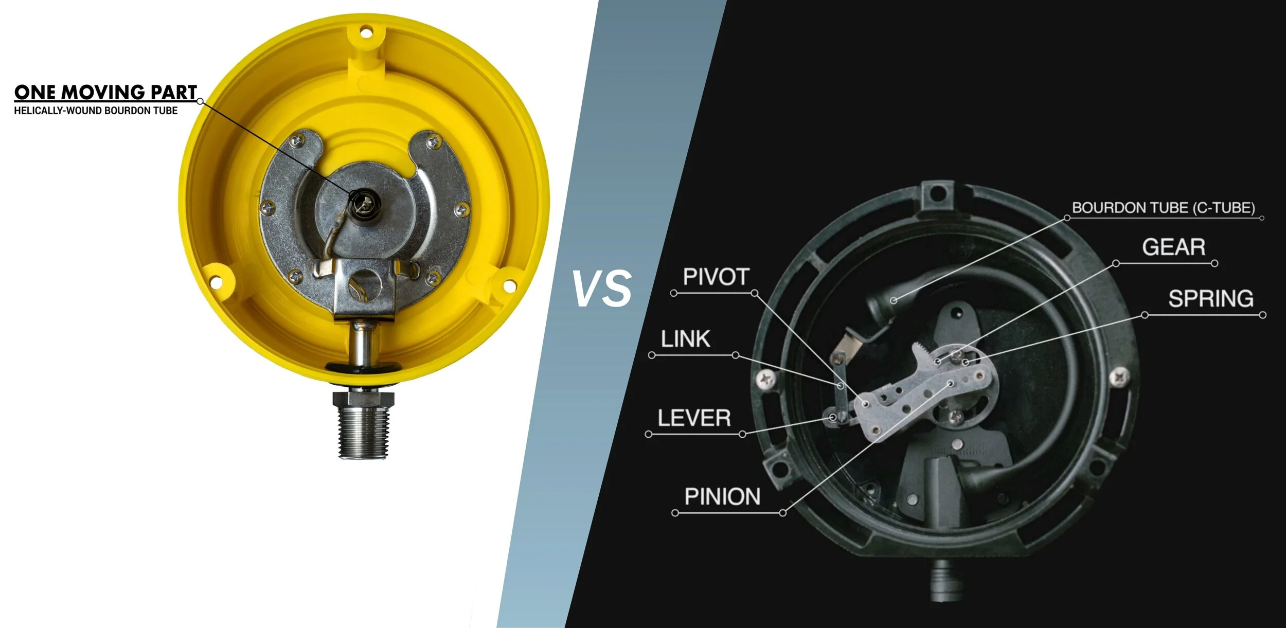 Feature - DD v C-TUBE (cropped).JPG