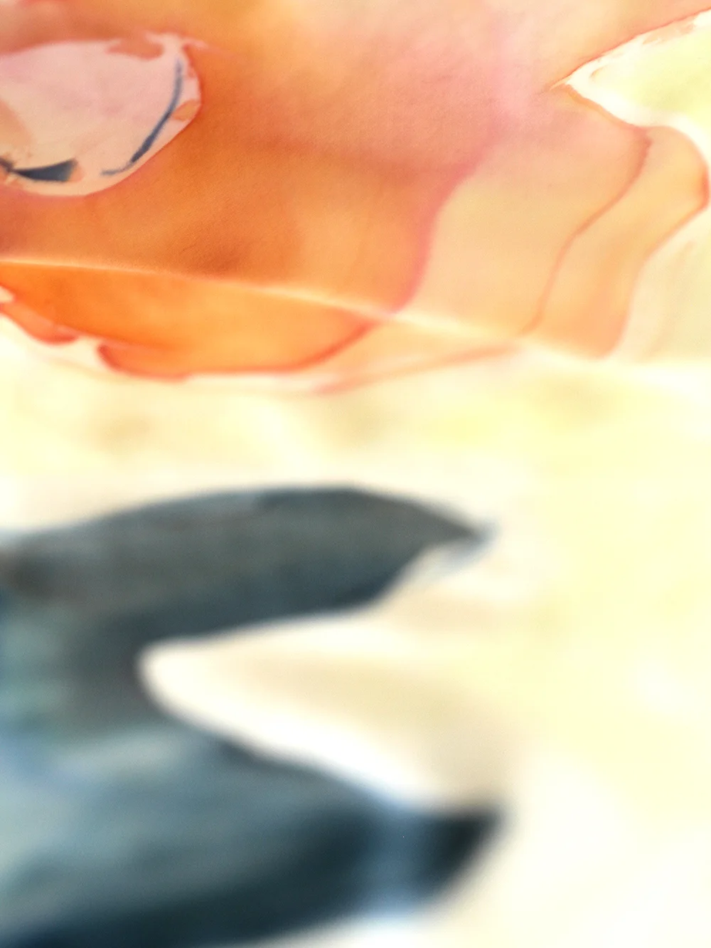 orange.blue.FlowerDetail_Revised2.jpg