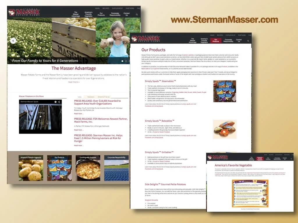 ST Banner tops and samples for new site.006.jpeg