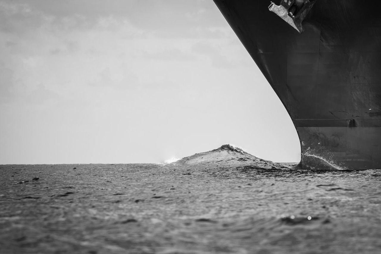 Delfín-escapando-de-un-carguero-de-contenedores copy.jpg