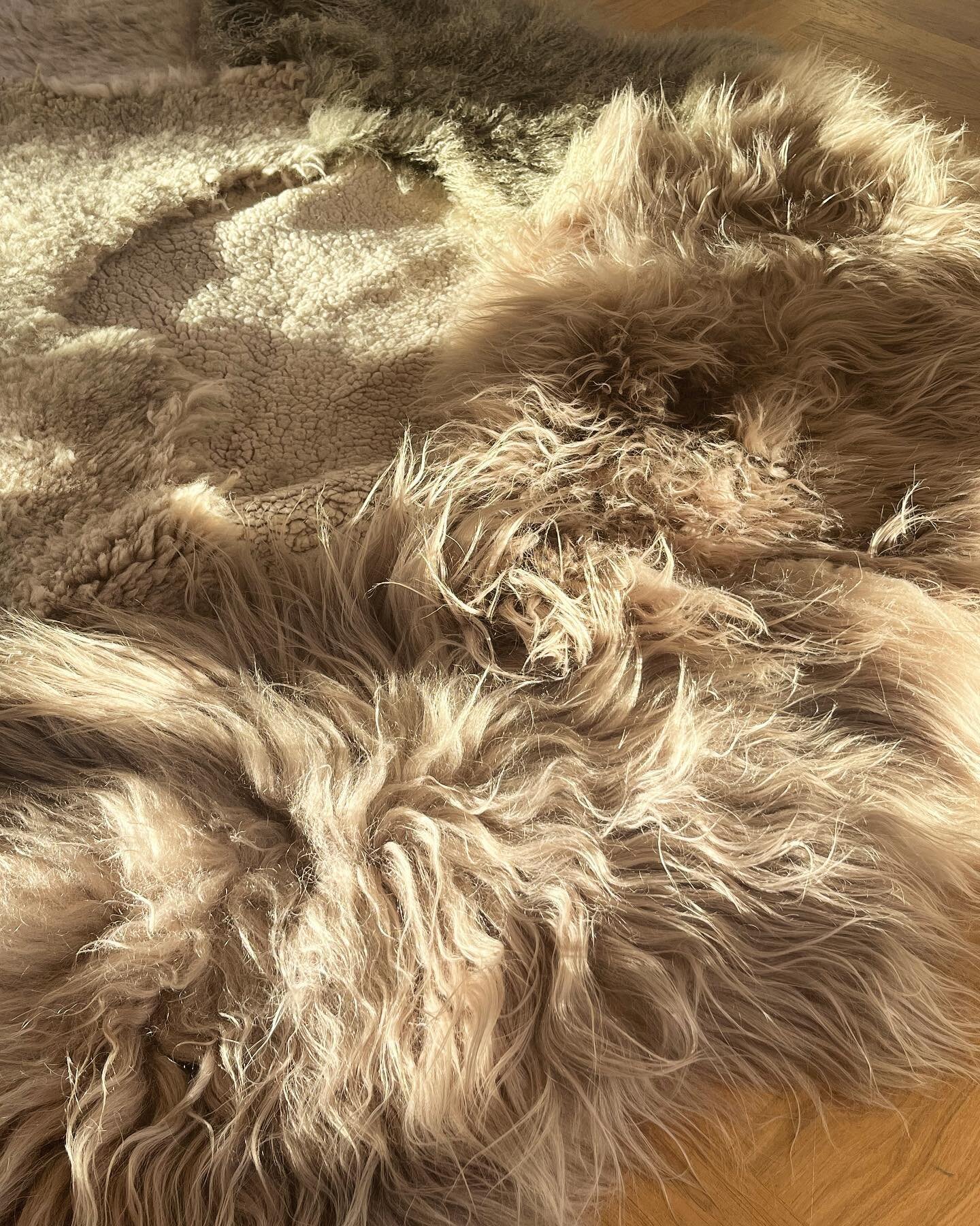 Embrace the unique charm and texture that sheepskin rugs bring to your decor. 🐑🌳Its organic shape works well in odd nooks or corners #interiors #sheepskinrug #organicshapes #cosyhome