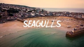 SEAGULLS - TASTER PILOT STARRING TASMYN KELLY