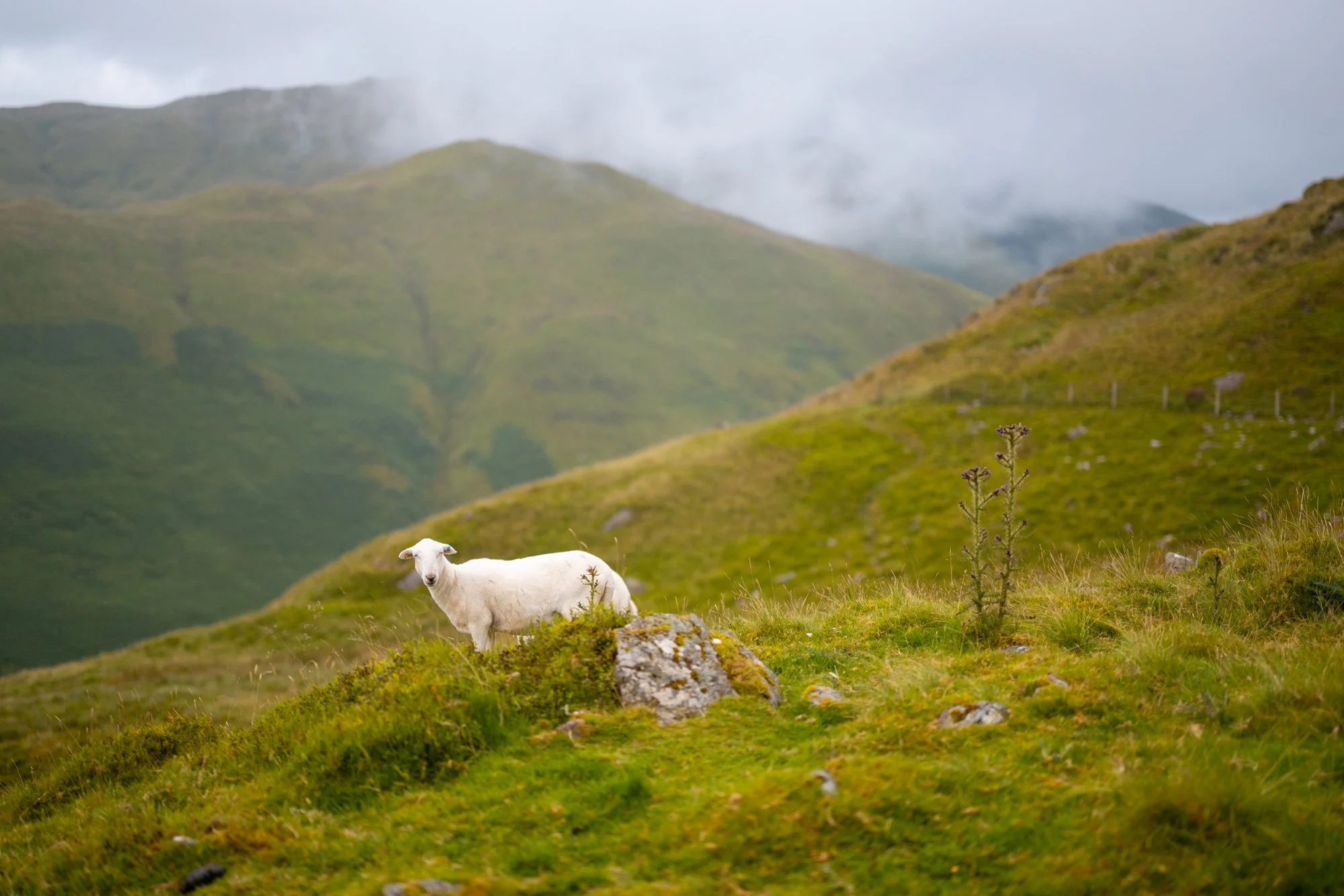 Ultra X WALES 2024-425.jpg