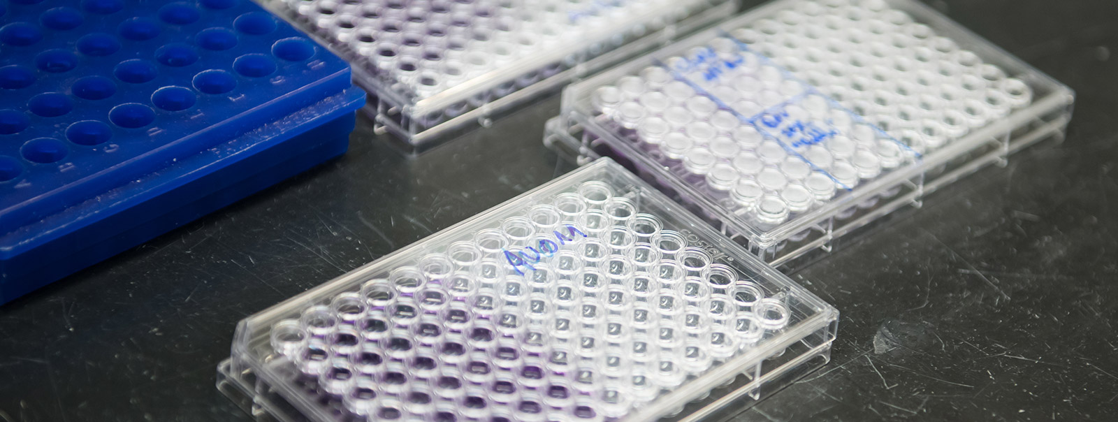02_AuraBiosciences_header.jpg