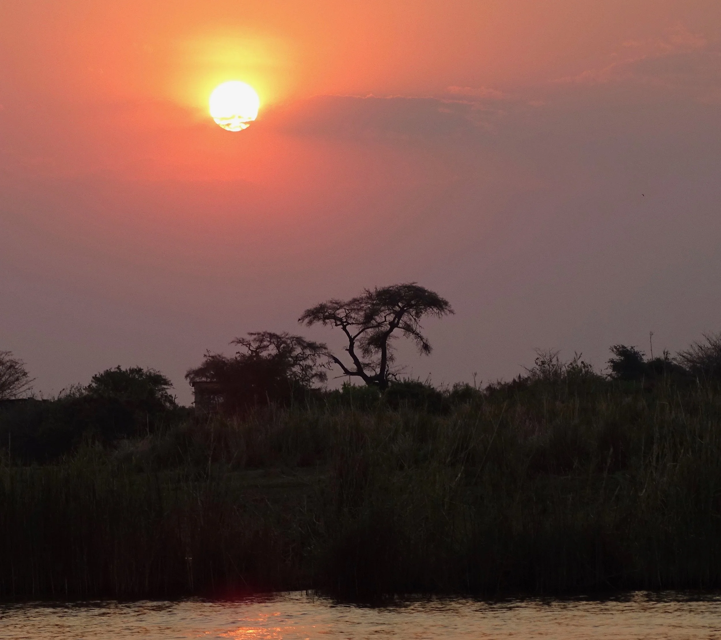 Good Night - Africa