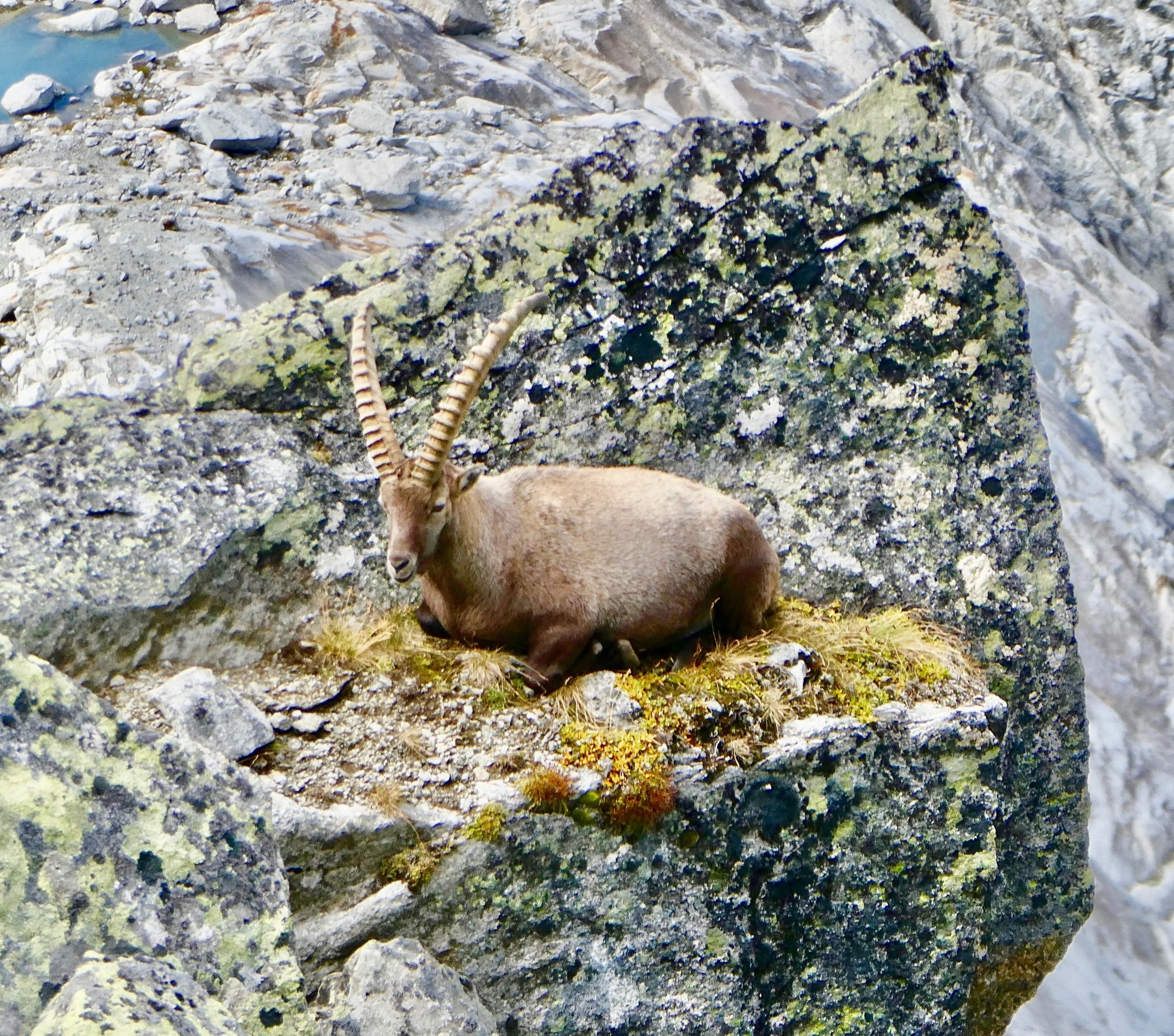 P1000959.jpg