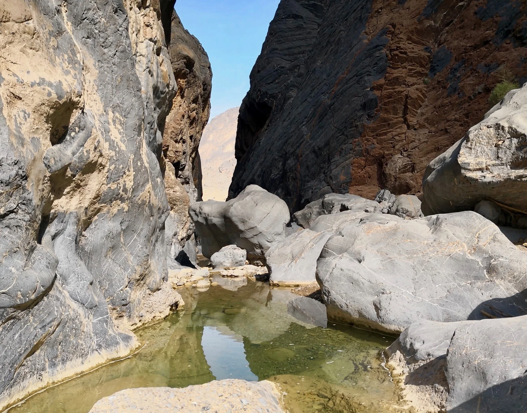 IMG_20181129_104701_resized_20181201_080344873 2.jpeg