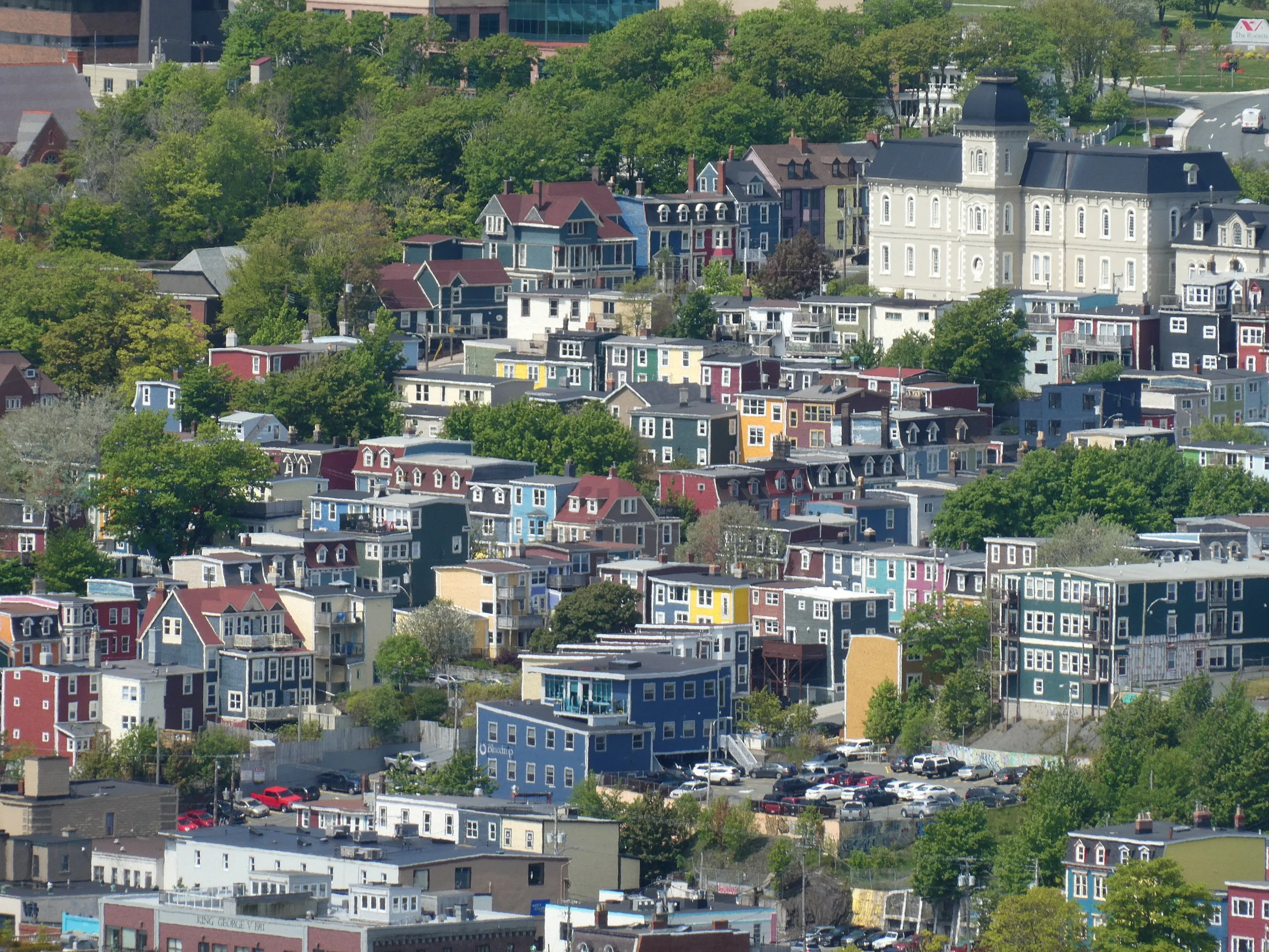 P1140445.jpg