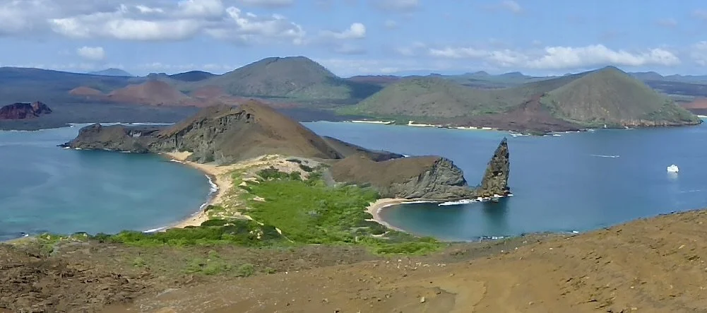 image-asset-1 2.jpeg