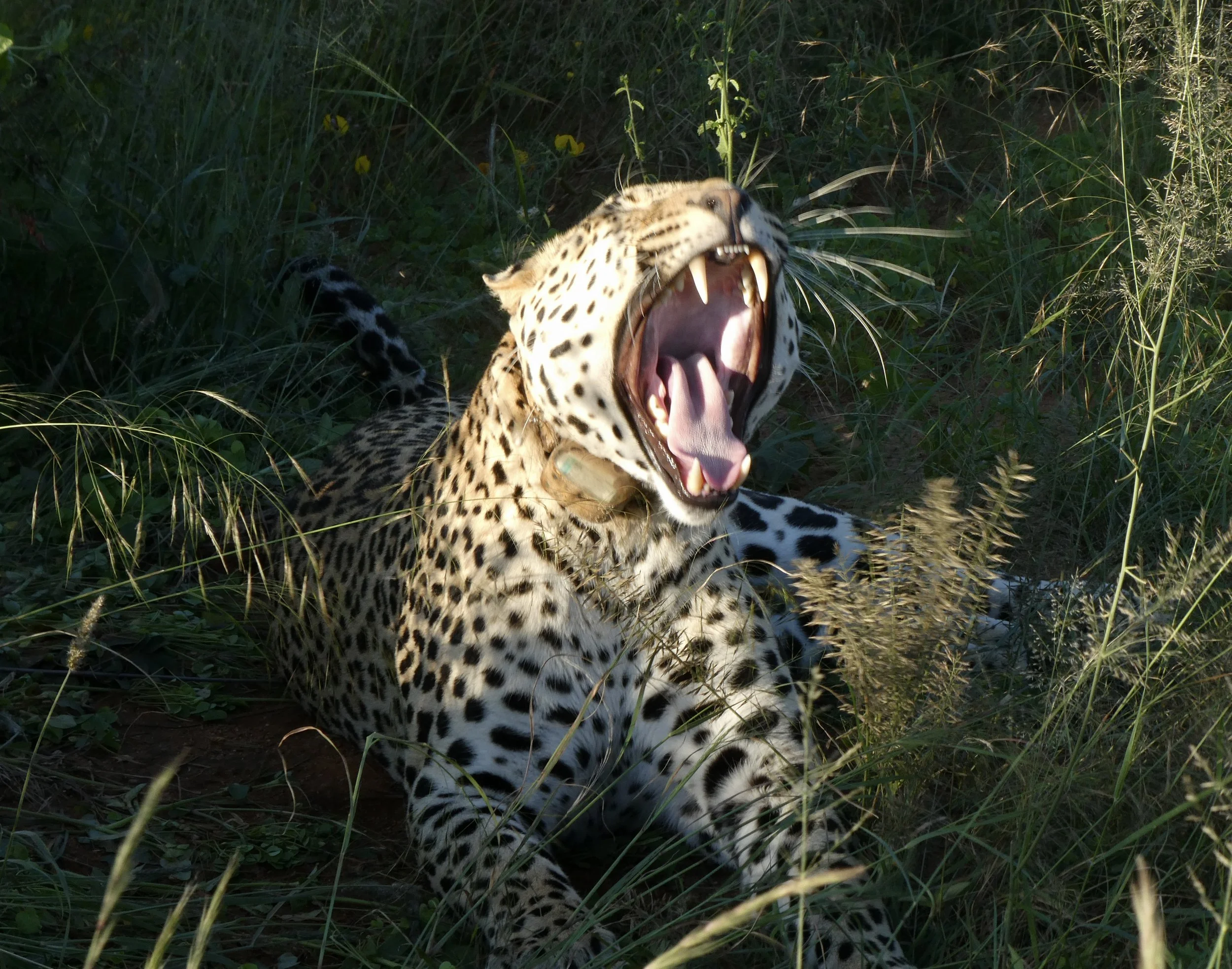 P1060343.JPG