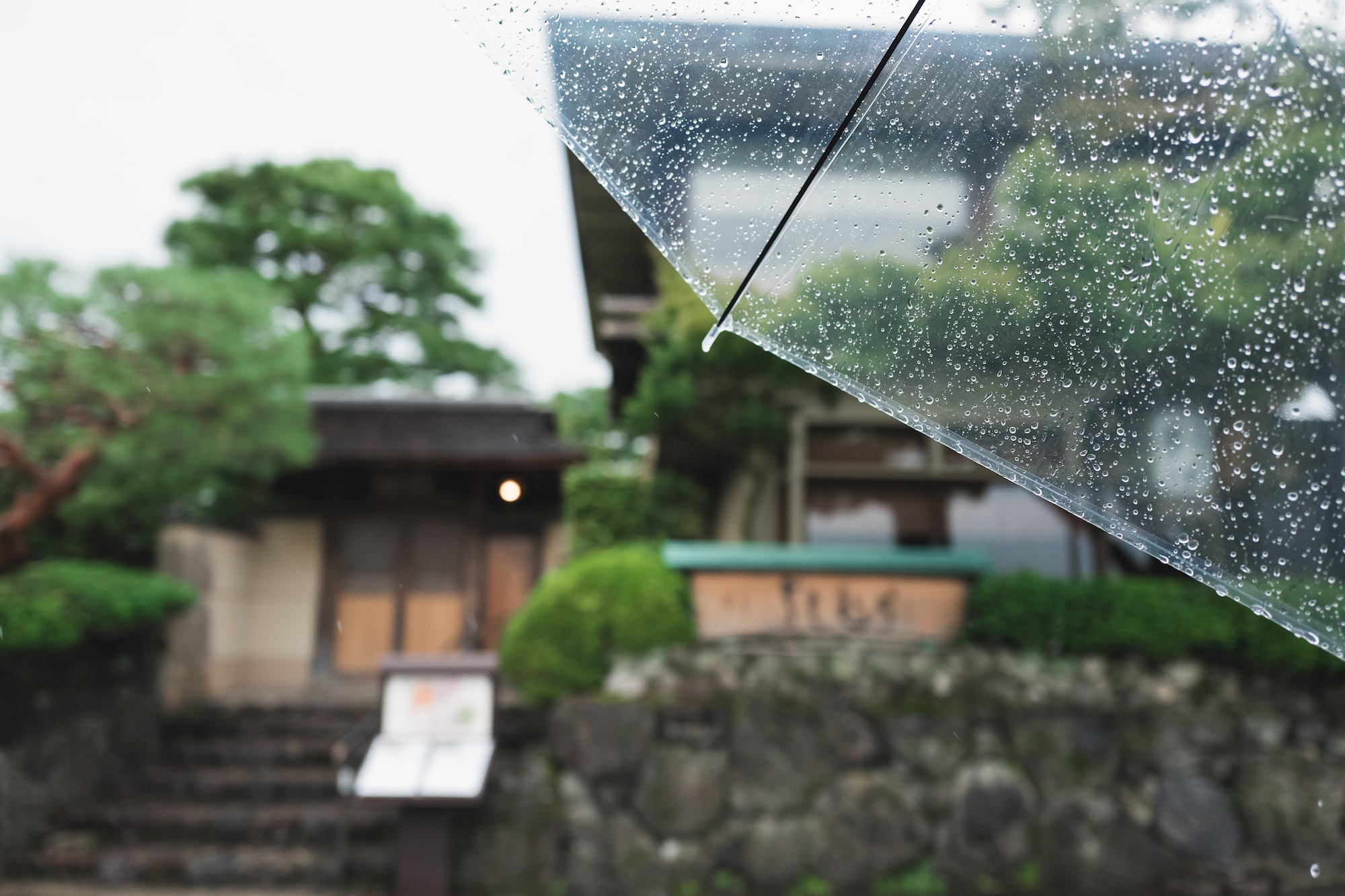 L1060165.jpg
