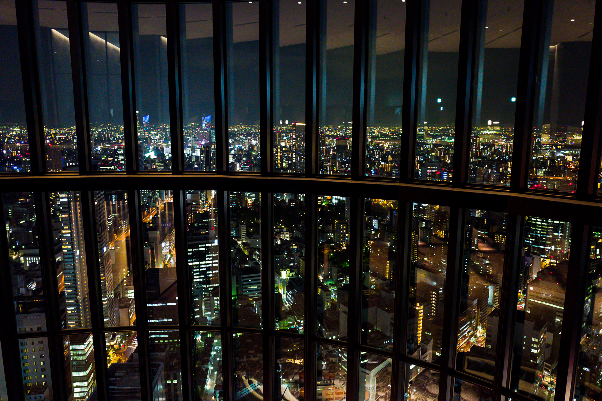 L1040903.jpg