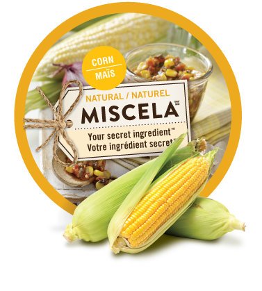 Miscela Packaging Design