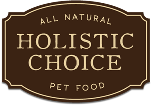 Holistic Choice logo design