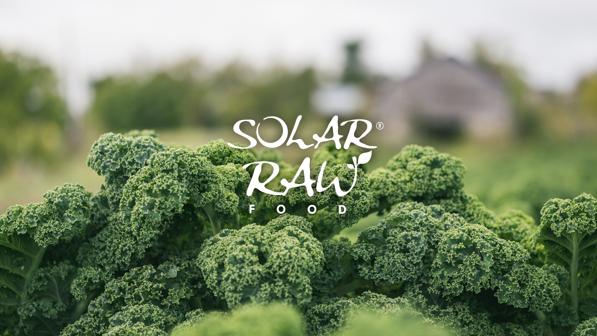 solar-raw-ultimate-kale-chips_banner.jpg