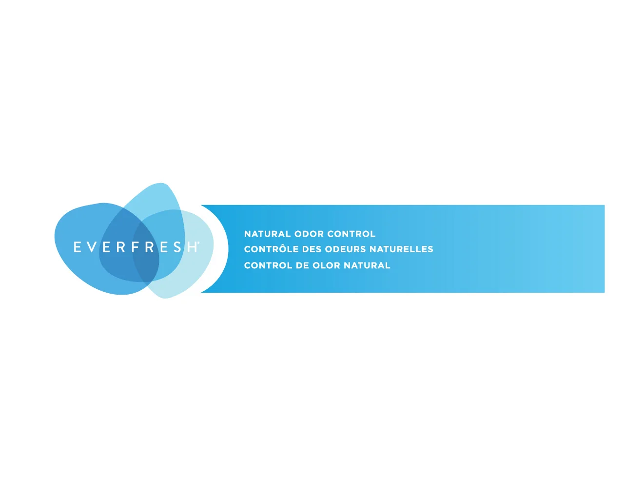 Neatfreak Everfresh logo design