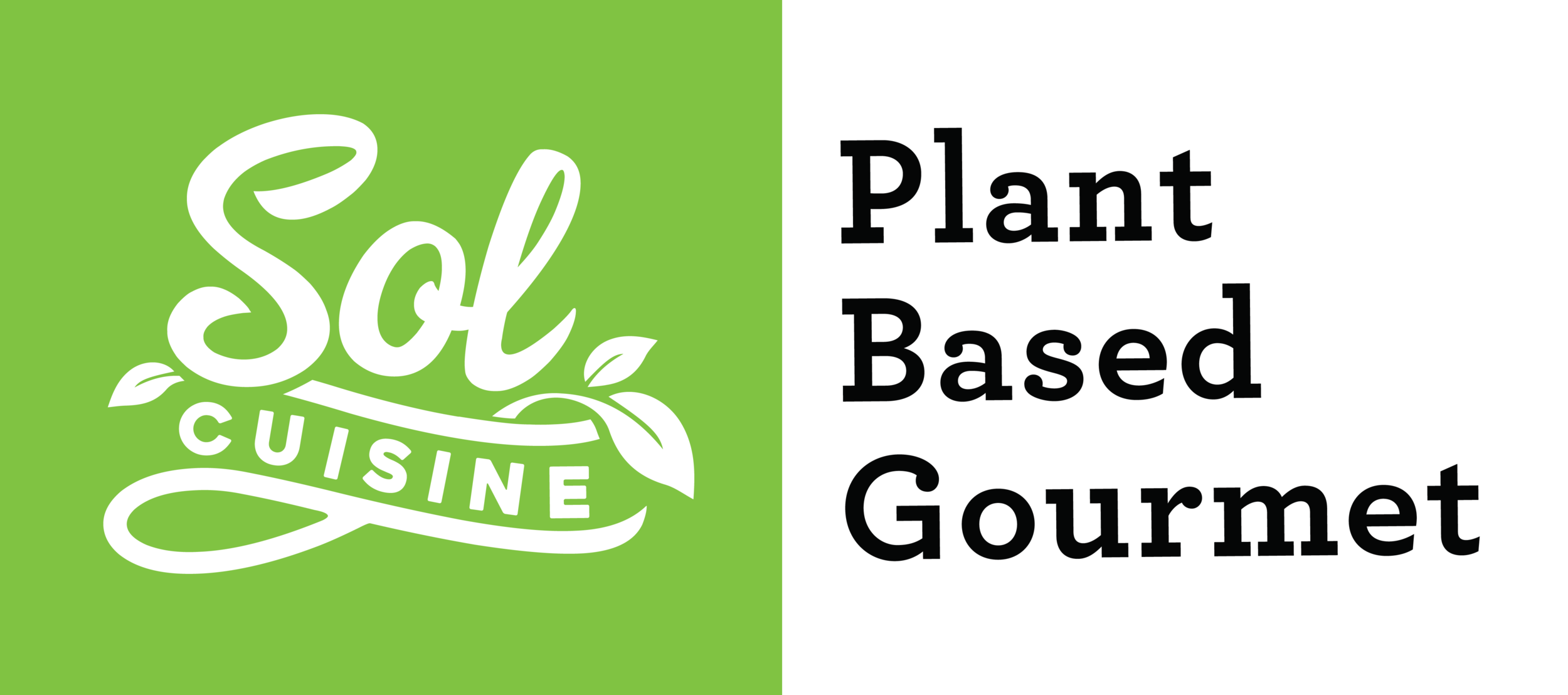 SOL_Logo and Type.png