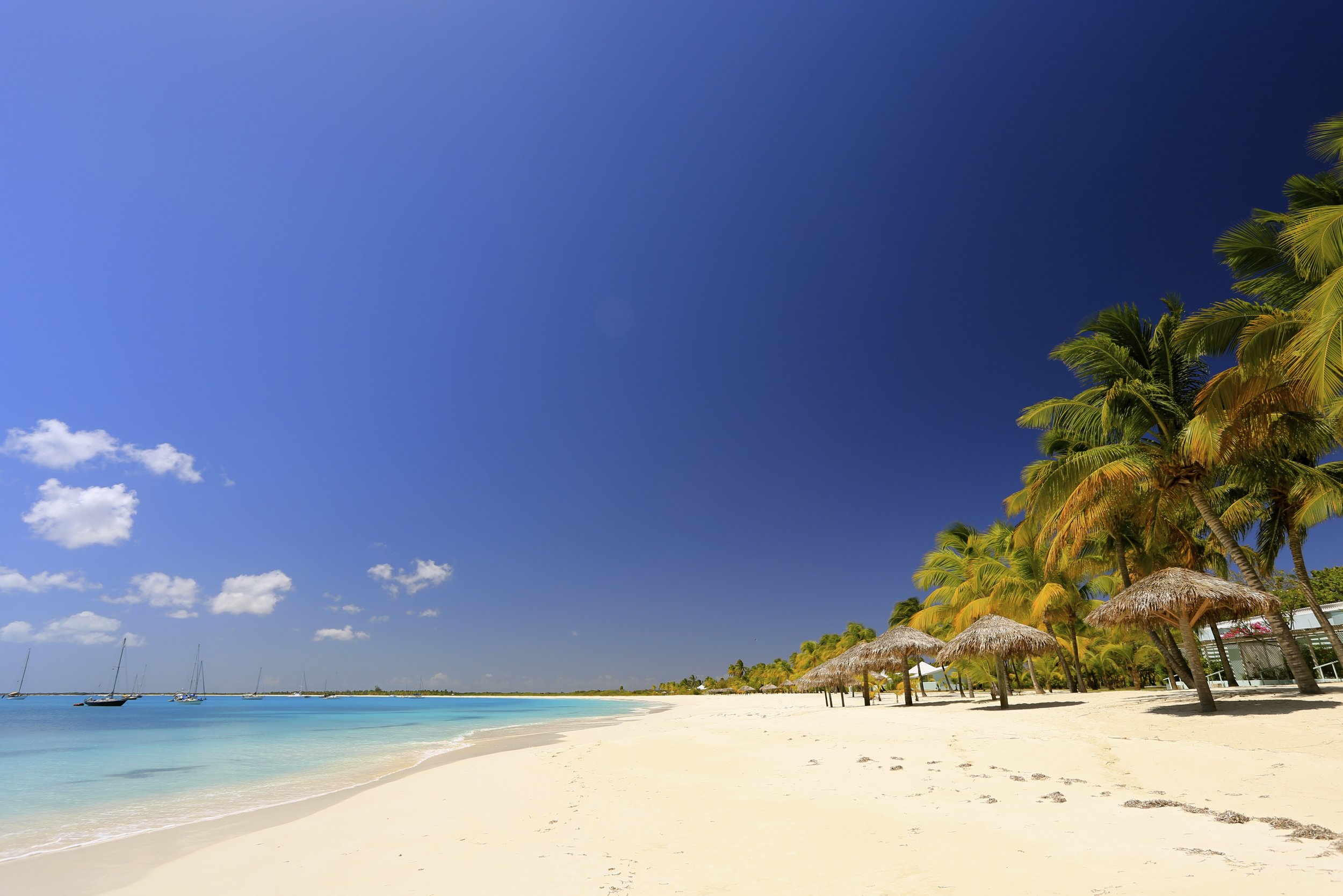 Beach Barbuda copy.jpg
