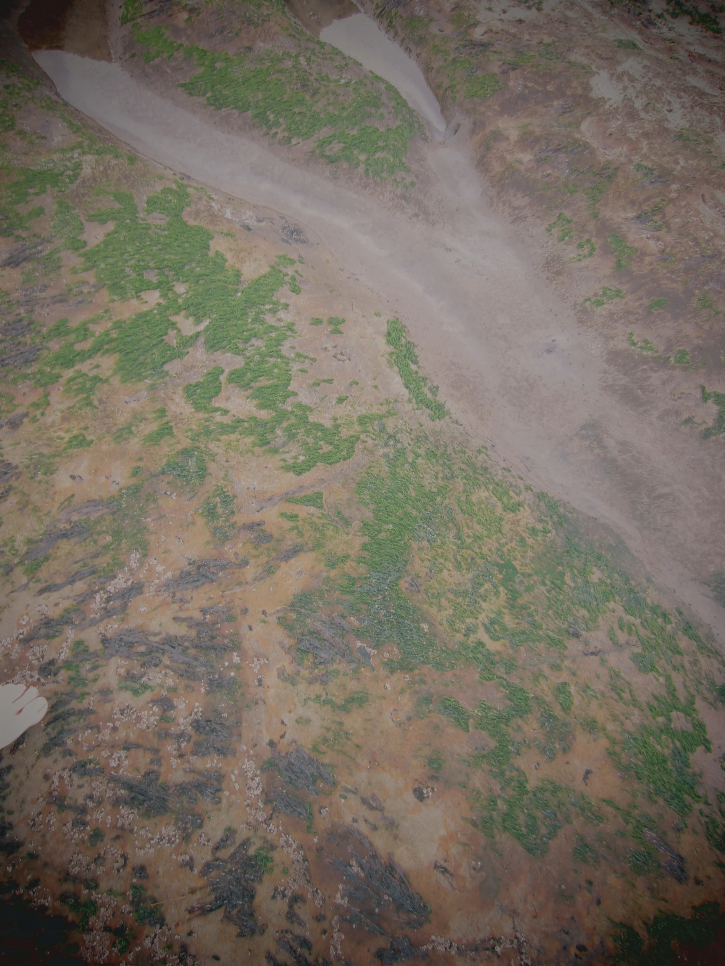 landform1_revised.jpg