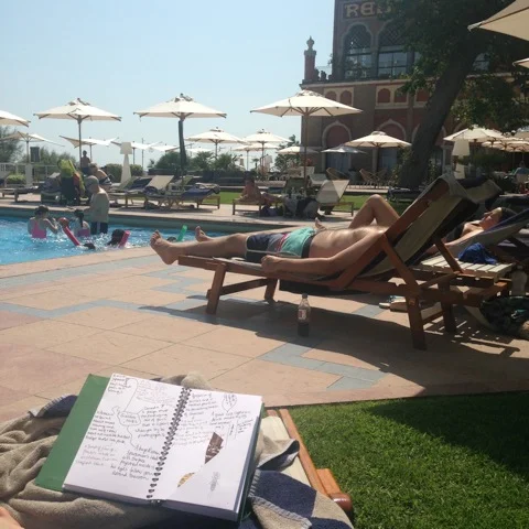 Mayflying on my Honeymoon