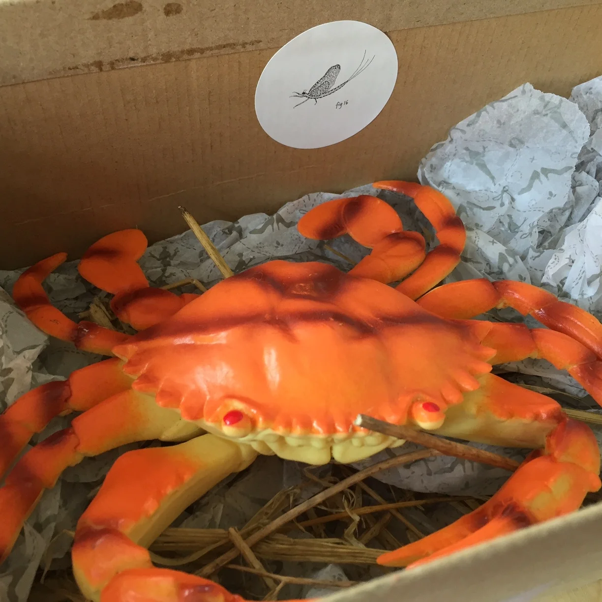 Story telling with Mayfly Stickers