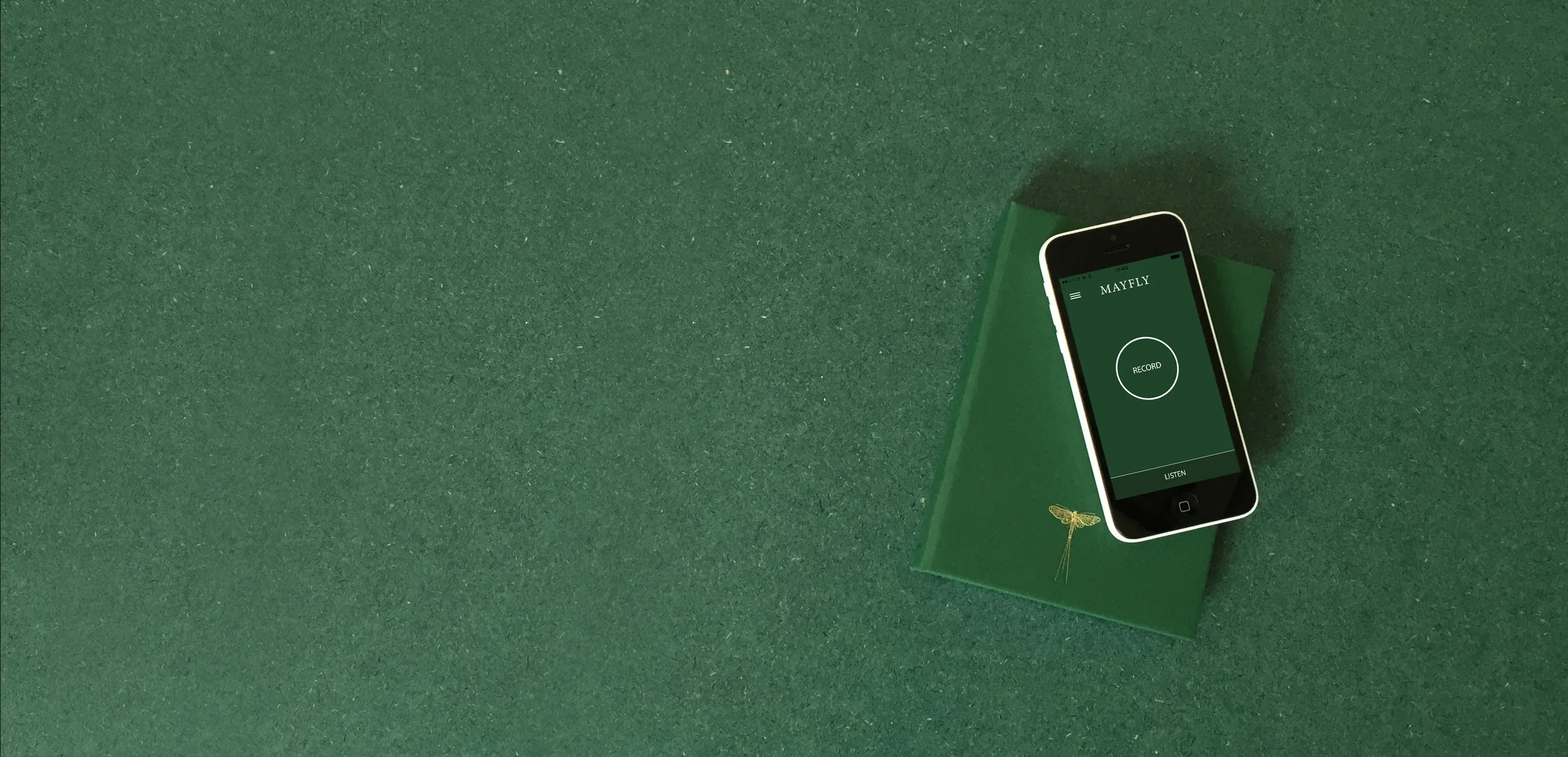 app header2.jpg