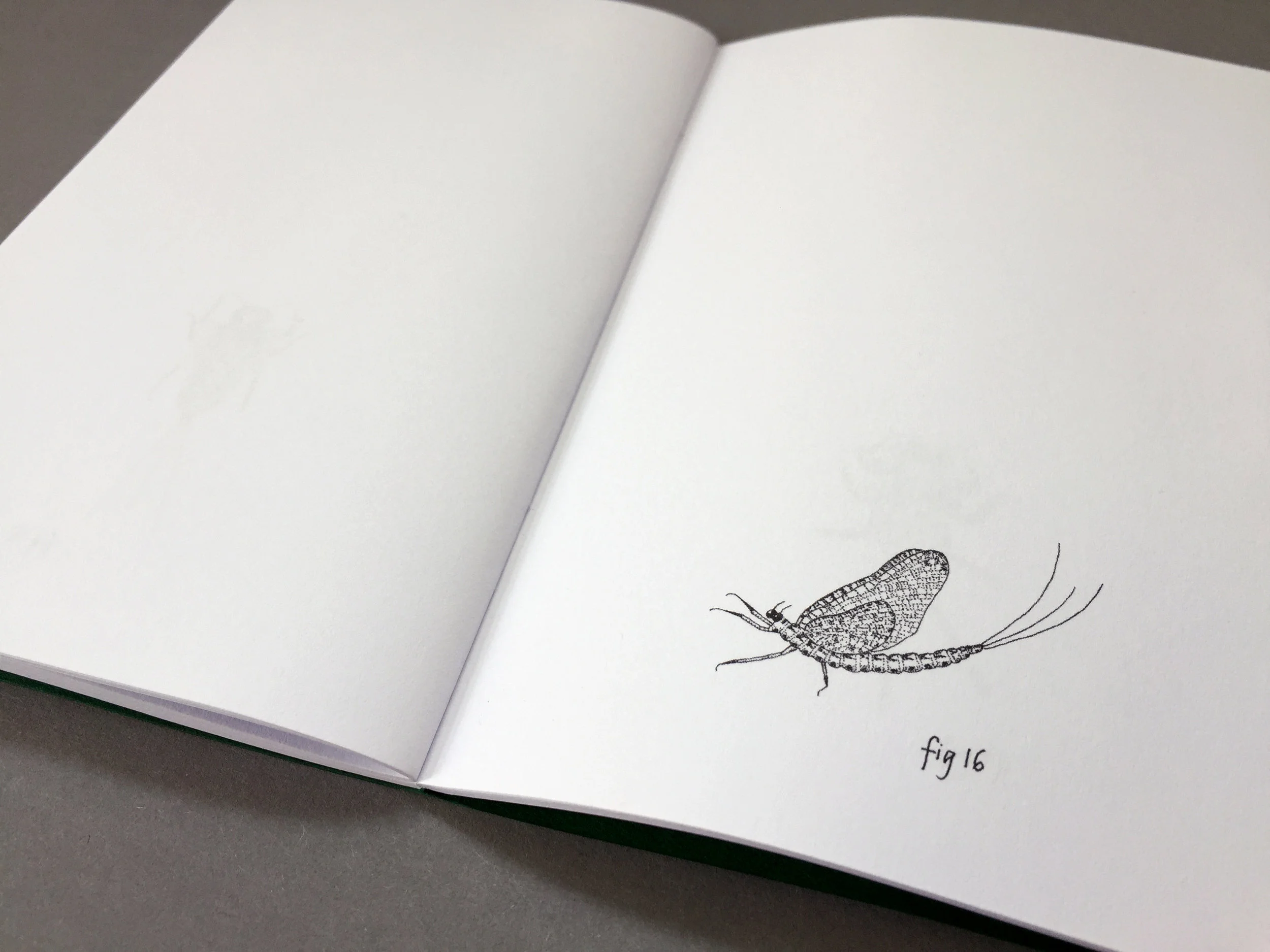 jotter2.jpg