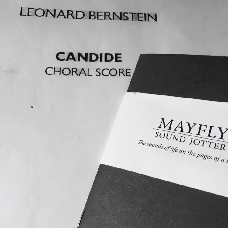 Mayfly at the Sitzprobe