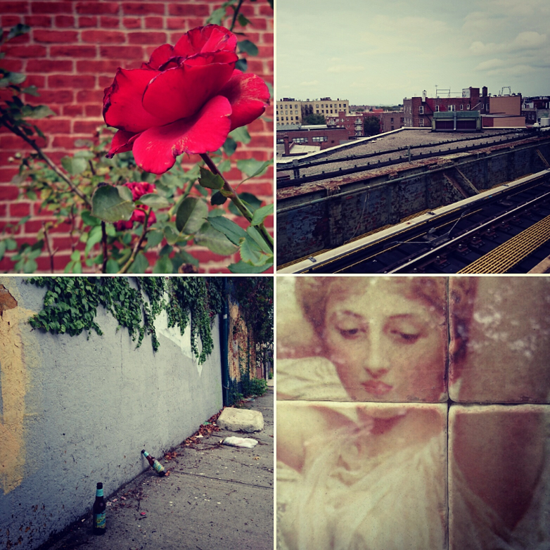 Strange beauty in Queens