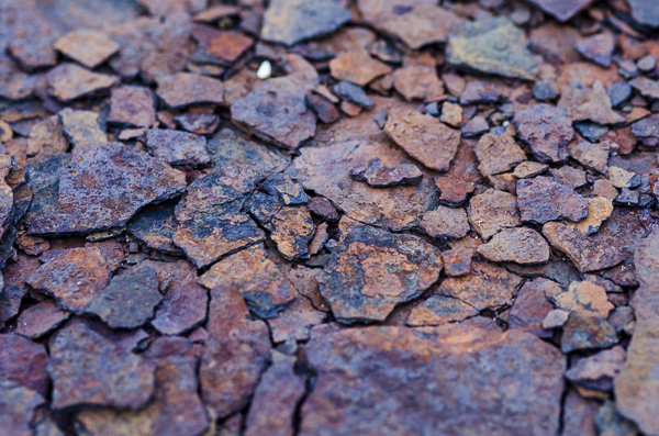 2013_Orford Ness overnighter-06649.jpg