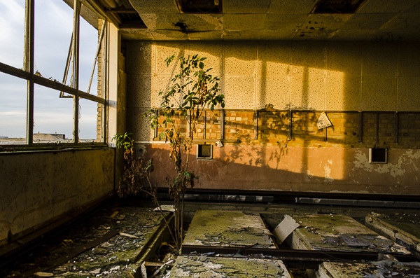 Orford Ness personal project