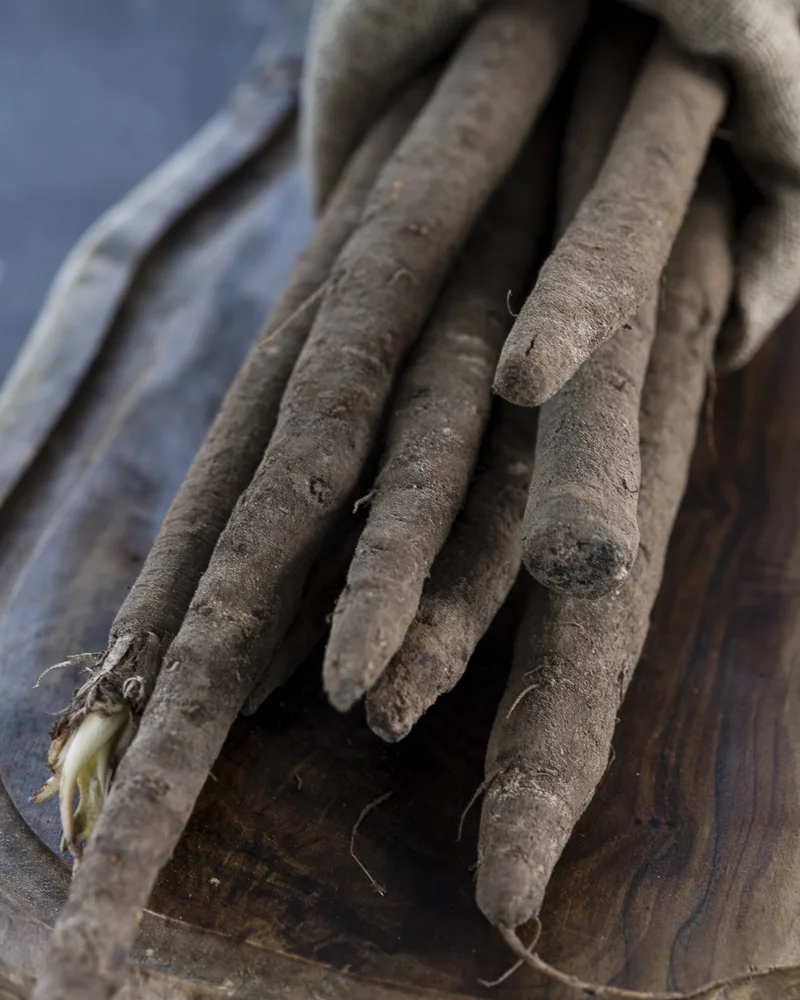 Salsify Vegetable, Root vegetable