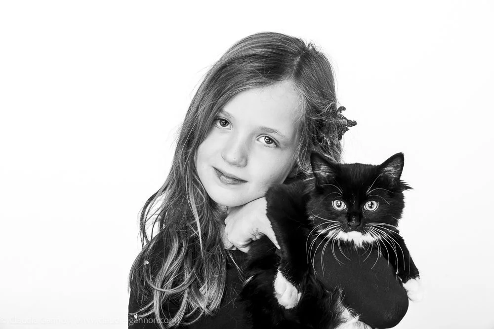 20231116-kittens and chloe-1105.jpg