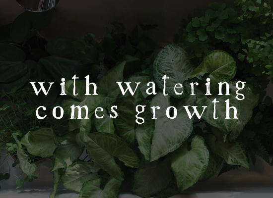withwateringcomesgrowth.png