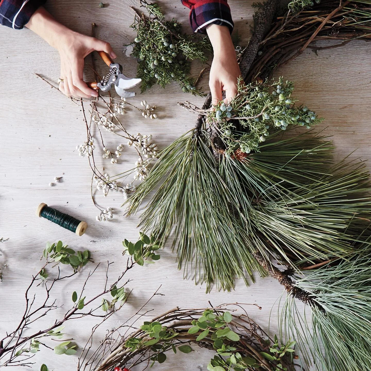 our holiday wreath classes are live on our website! 👏🏼🌲(link in our profile) &mdash; we can&rsquo;t wait to create with you this upcoming season! **limited spots available in classes, so sign up soon!** // tag a friend who you&rsquo;d love to come