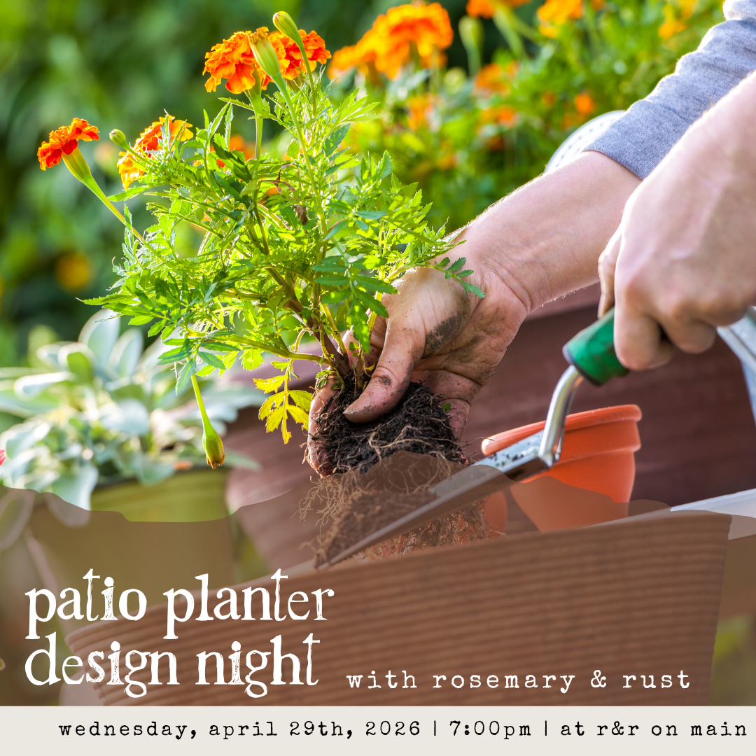 patio planter design night: 4/29