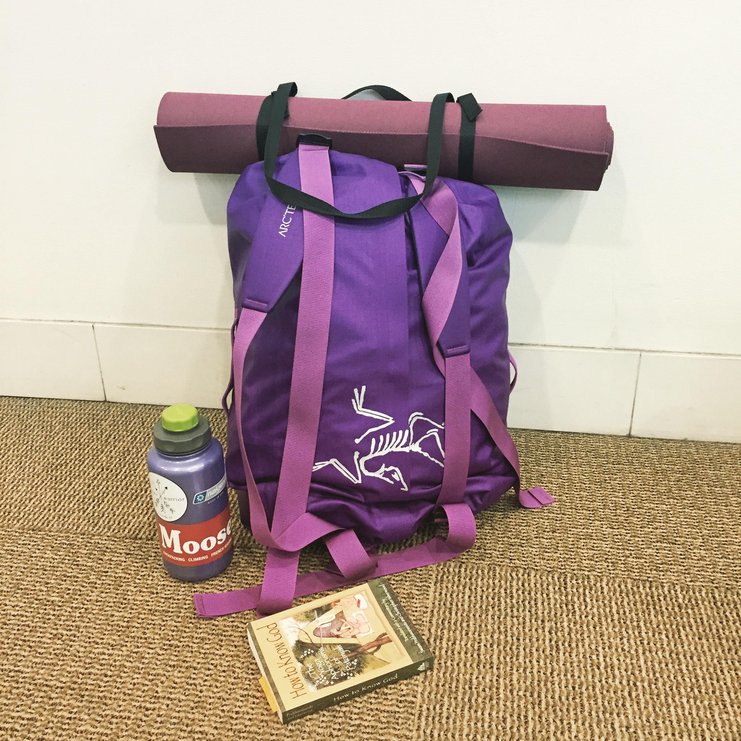 Tales of a Traveling Yogini - From Louisville, KY to Louisville, CO