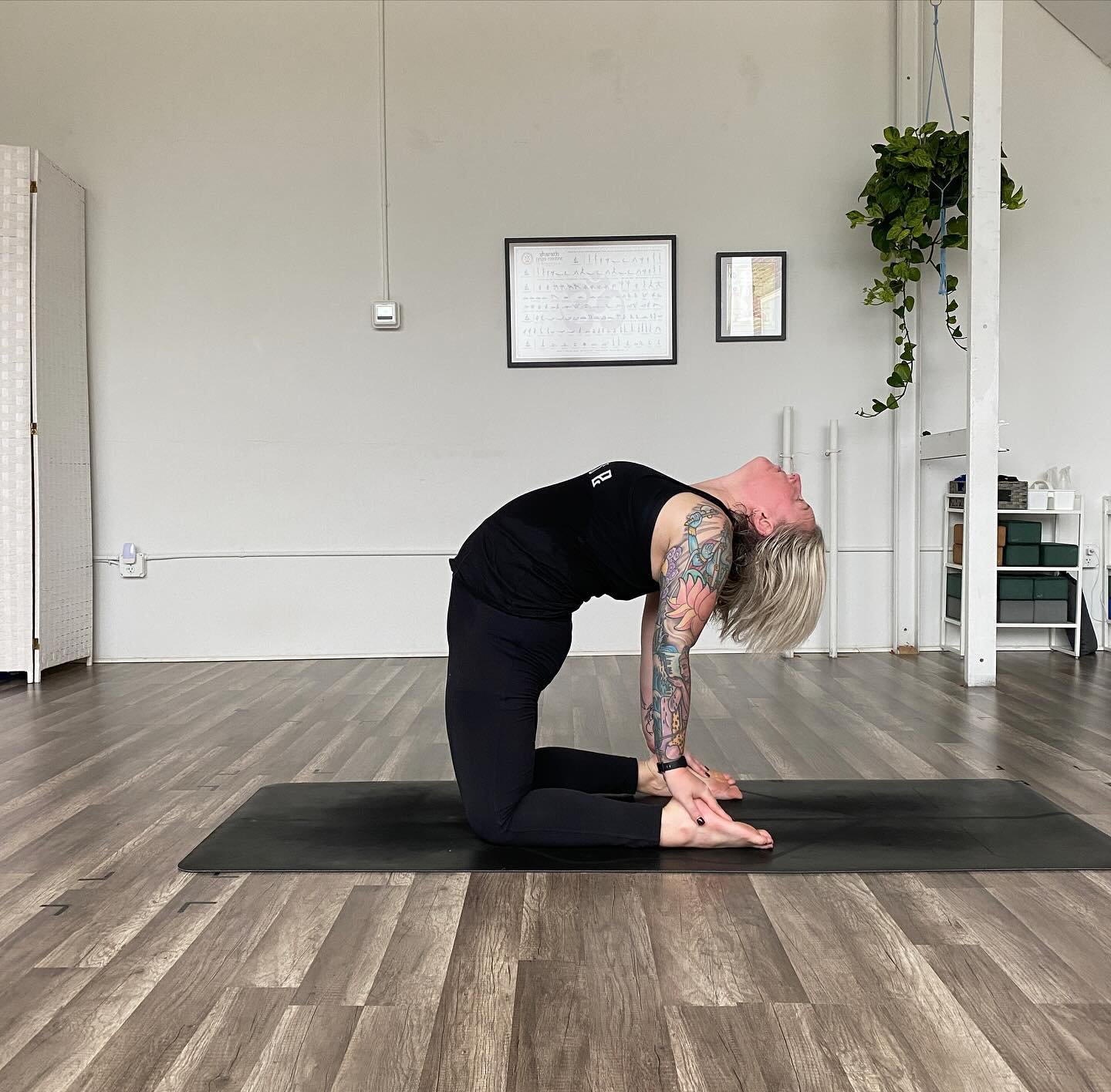 April is Alcohol Awareness Month, so we&rsquo;re participating in the @trinifoundation We&rsquo;ve Got Your Back Challenge! 

Day 3: Ustrasana, or Camel Pose 🐪 

Join us every day for a new pose, and be sure to tag Trini to help spread the word abou