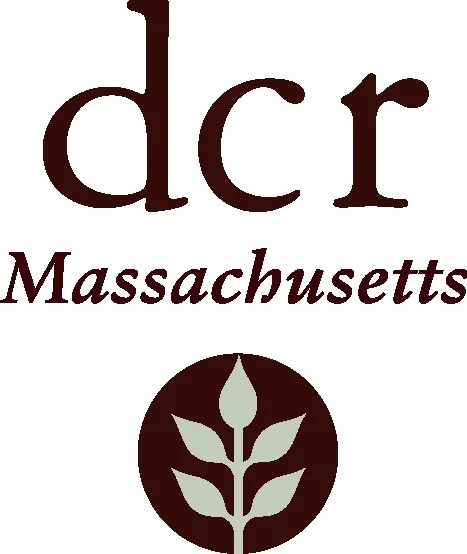 dcr-logo.jpg